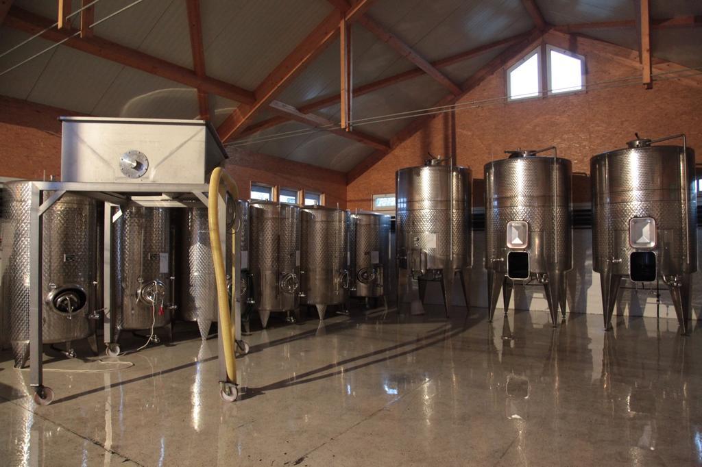 Winzerzimmer - Weingut Tinhof Eisenstadt Ngoại thất bức ảnh