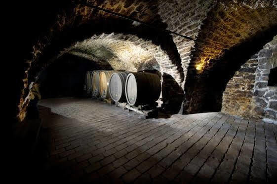 Winzerzimmer - Weingut Tinhof Eisenstadt Ngoại thất bức ảnh