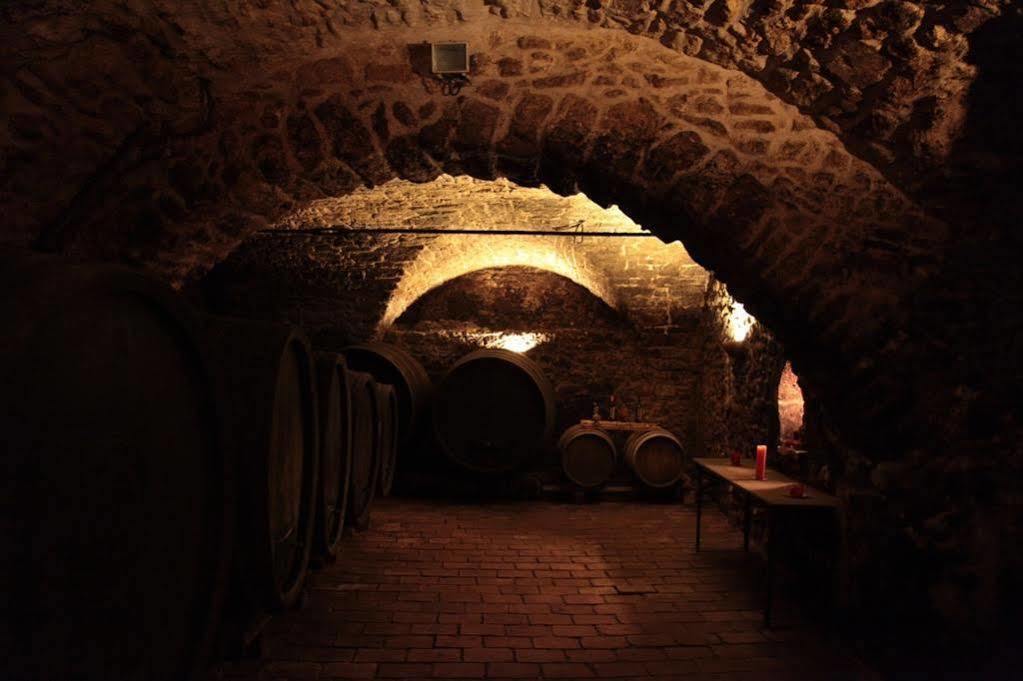 Winzerzimmer - Weingut Tinhof Eisenstadt Ngoại thất bức ảnh